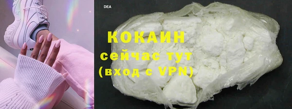 PSILOCYBIN Елабуга