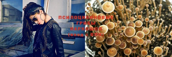 PSILOCYBIN Елабуга