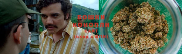 PSILOCYBIN Елабуга