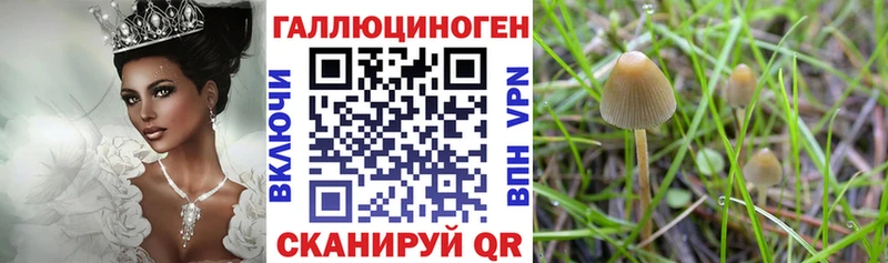 mega ссылки Олёкминск Псилоцибиновые грибы Magic Shrooms